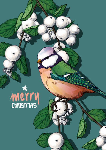 illi Weihnachtskarte mit Vogel "PILLI"