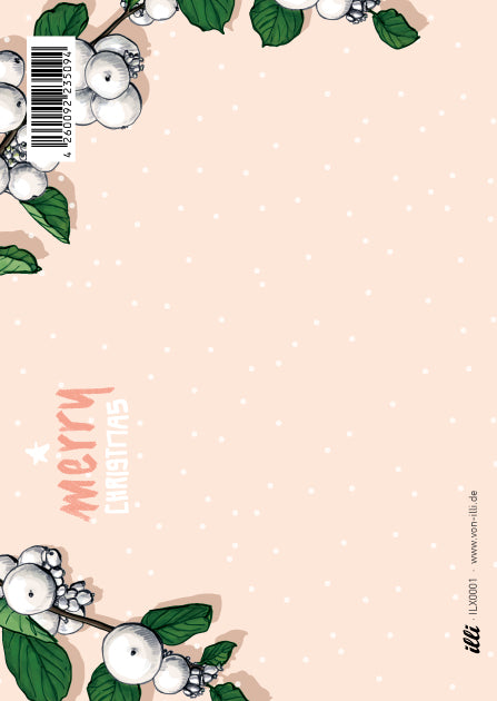 illi Weihnachtskarte mit Vogel "PILLI"
