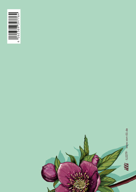 illi Postkarte "KAMI"