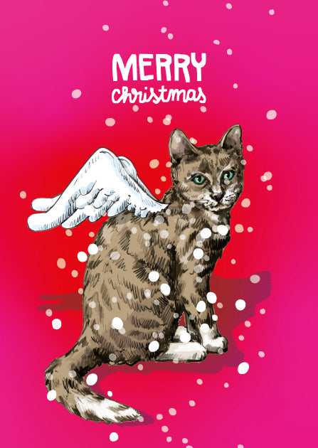 illi Postkarte "KEDI"