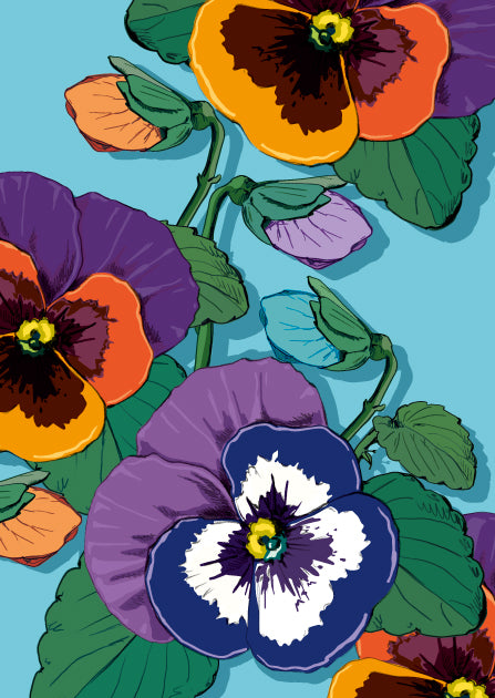 illi Postkarte mit Stiefmütterchen "VIOLA"