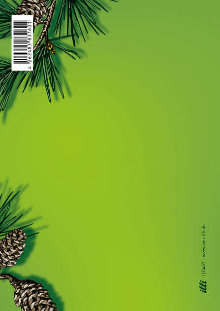 illi Postkarte "ZUINZU"