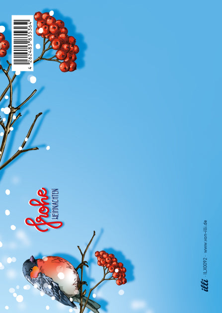 illi Postkarte "NALLI"