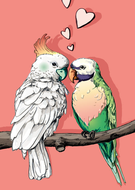 illi Postkarte "NONI UND LOU"
