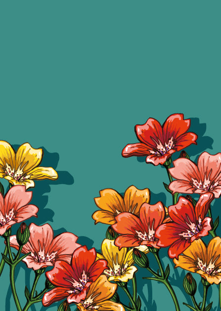illi Postkarte "FIORI"