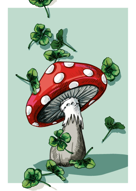 illi Postkarte "PEMO"