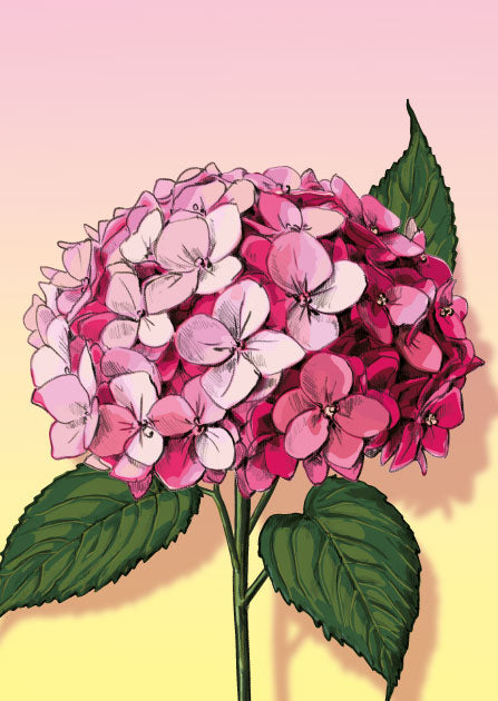 illi Postkarte "MIMA"