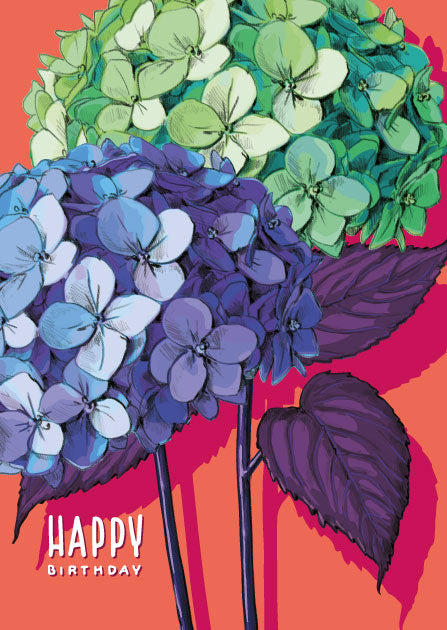 illi Postkarte "PETI" Hortensien, Happy Birthday