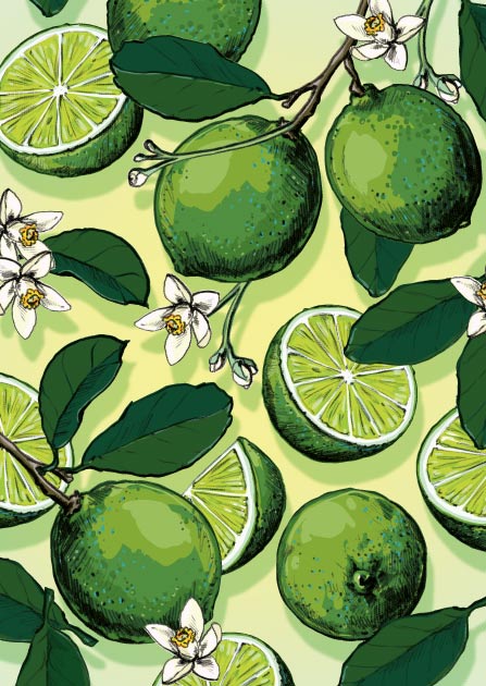 illi Postkarte "METTI" frische Limetten