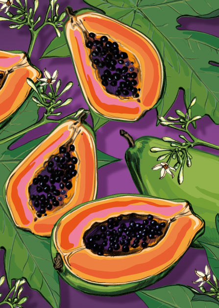 illi Postkarte "PALIA" Papaya