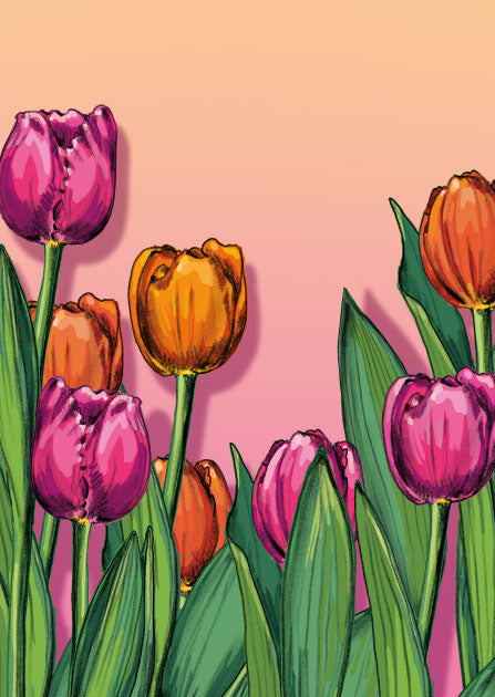 illi Postkarte "LIVA" bunte Tulpen