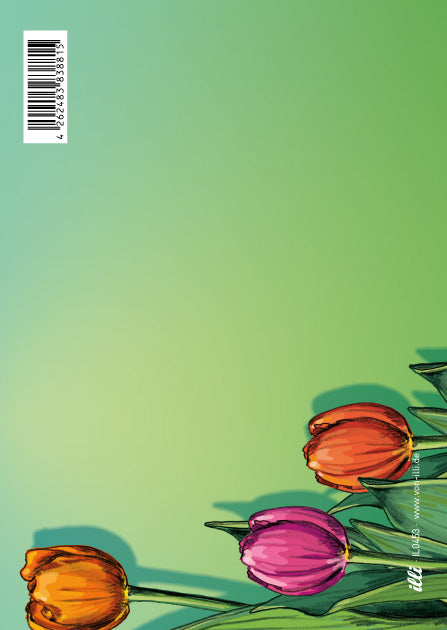 illi Postkarte "LIVA" bunte Tulpen
