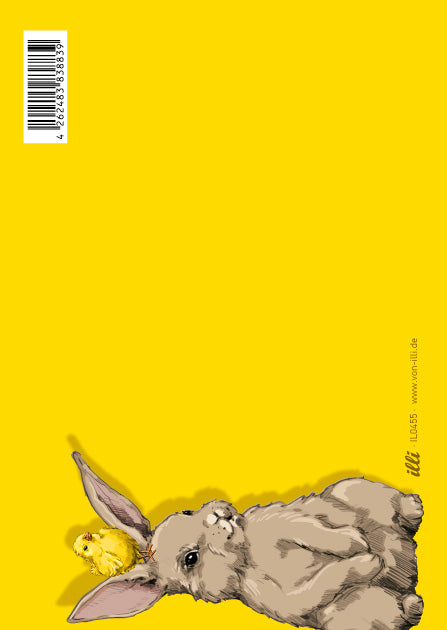 illi Postkarte "NINI" Hase und Küken