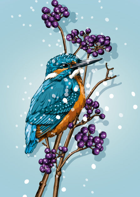 Weihnachtskarten-Set "Wintervögel"