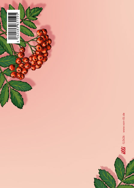 illi Postkarte "LALIO"