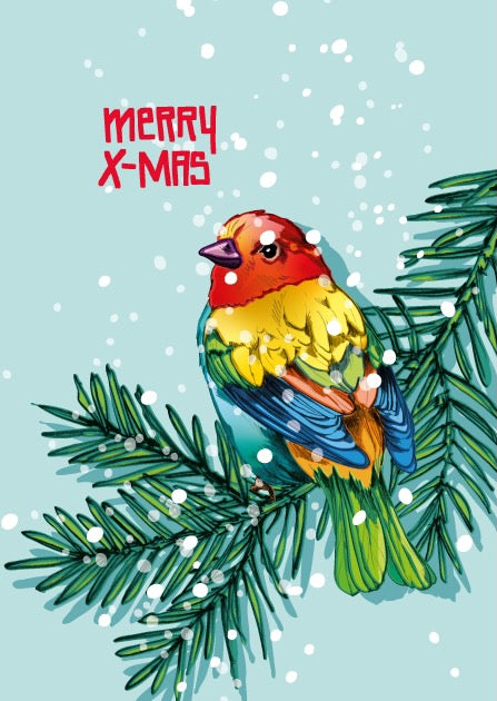 illi Weihnachtskarte mit buntem Vogel "Lanja"