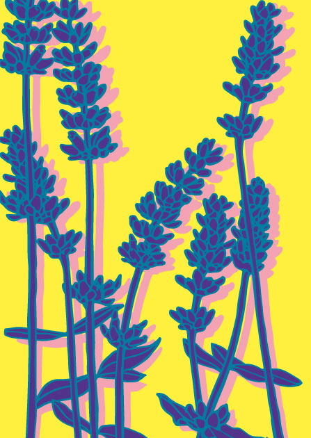 illi Postkarte LINI mit grafischen Lavendelblüten in Blau und Violett auf leuchtend gelbem Hintergrund