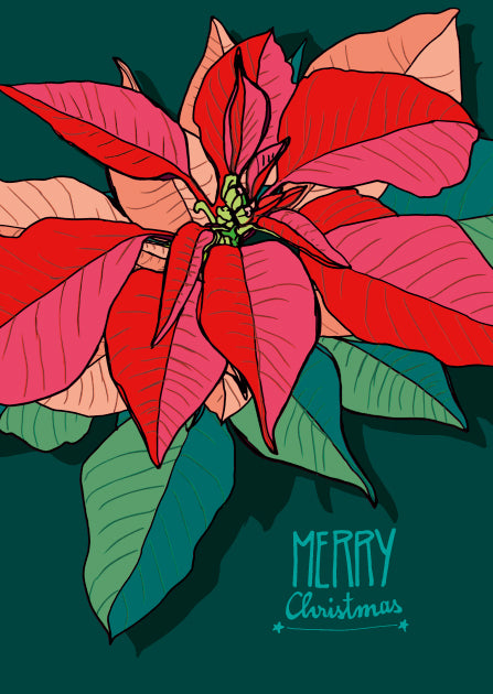 Weihnachtskarten-Set „Festliche Klassiker & Lichterglanz“