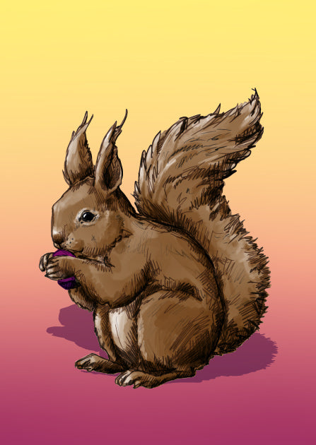 illi Postkarte “ELVI” – Eichhörnchen