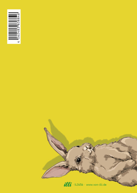 illi Postkarte "NIKO" - Hase auf Mint