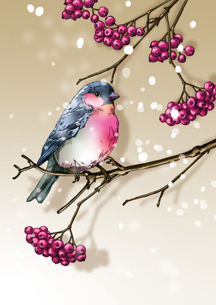 illi Weihnachtskarte BADIBA mit Wintervogel auf Beerenzweig im Schnee
