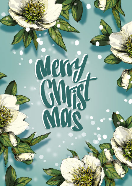 Illustration einer Weihnachtskarte mit weißen Christrosen und dem Schriftzug Merry Christmas auf hellblauem Hintergrund.
